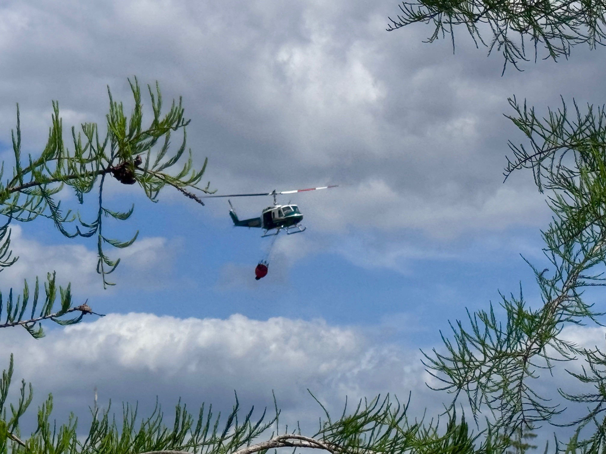 brush fire 3.jpg