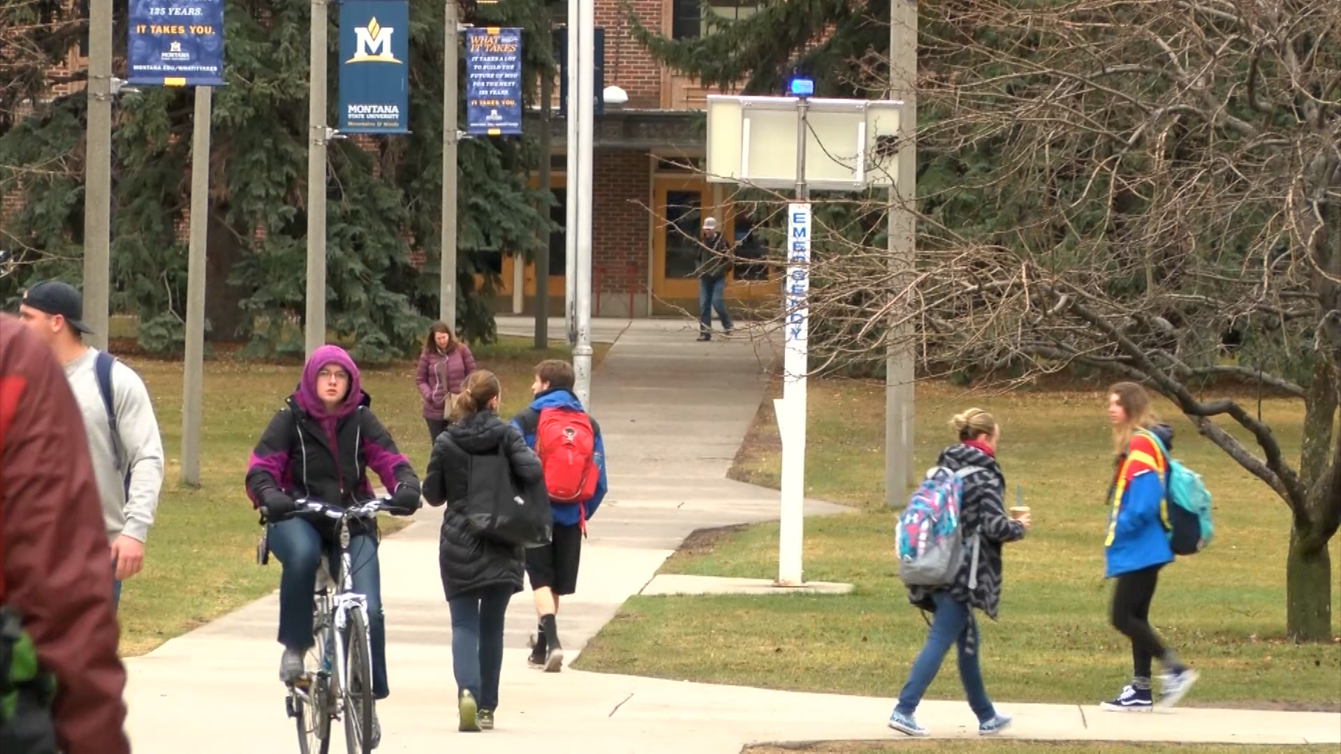 Montana State .jpg