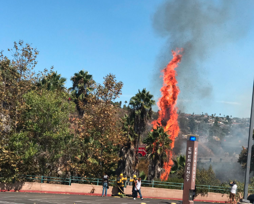 SDSU fire