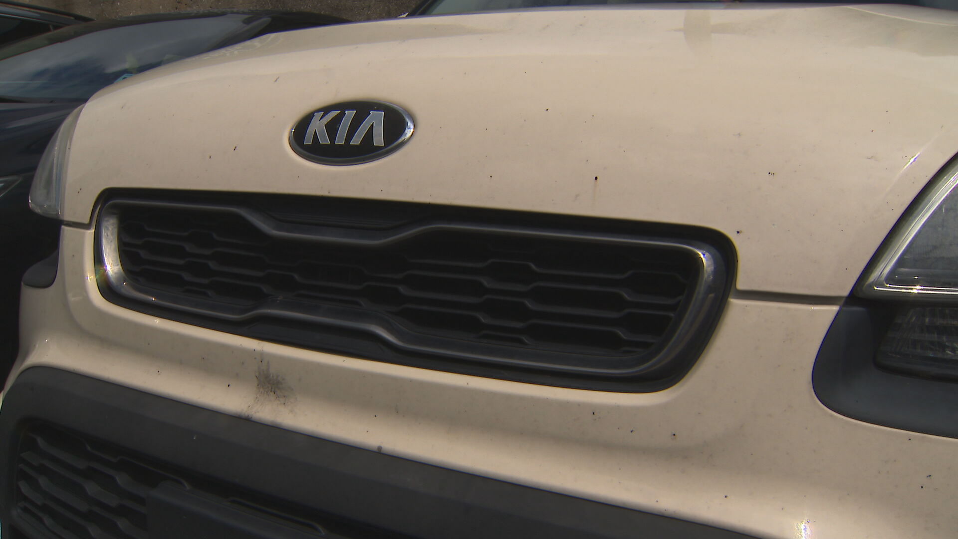 Kia.jpeg