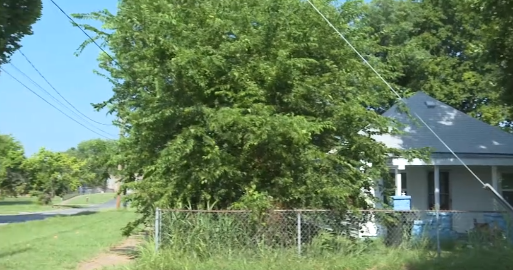 Okmulgee Overgrown Grass