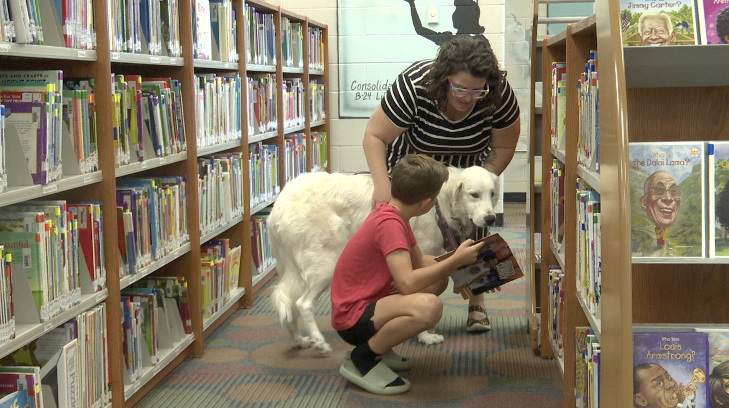 luna the therapy dog