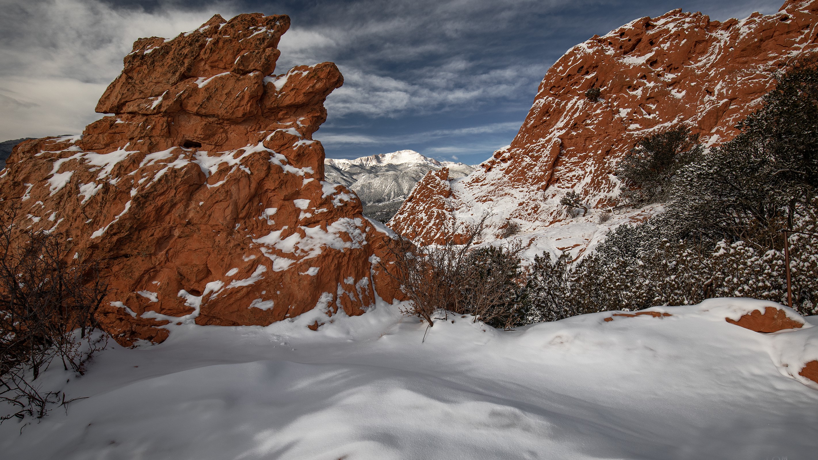 garden and peak snow 2-16 Peter Schwepker.