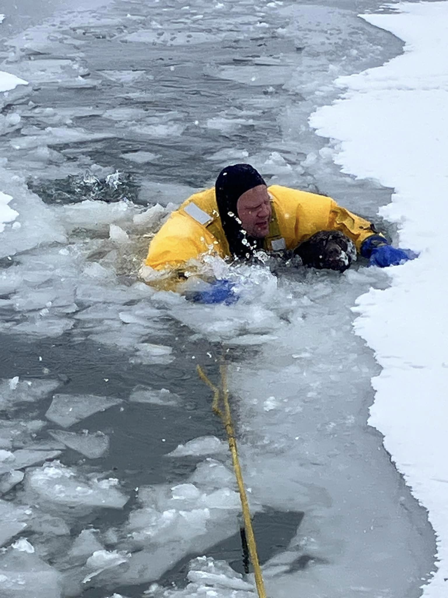 Georgetown Township dog rescued from frozen lake
