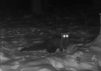 Screenshot 2025-12-15 at 10.16.33 AM.png