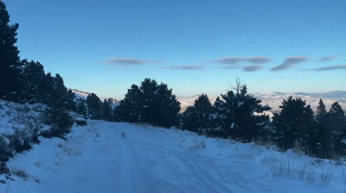 WeatherWise: Long Winter