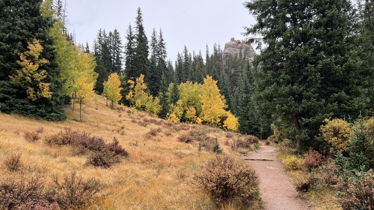 Teller County fall foliage 
