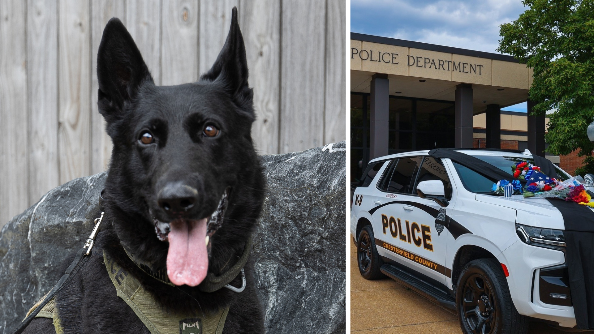 Chesterfield Police remember K-9 killed in shooting