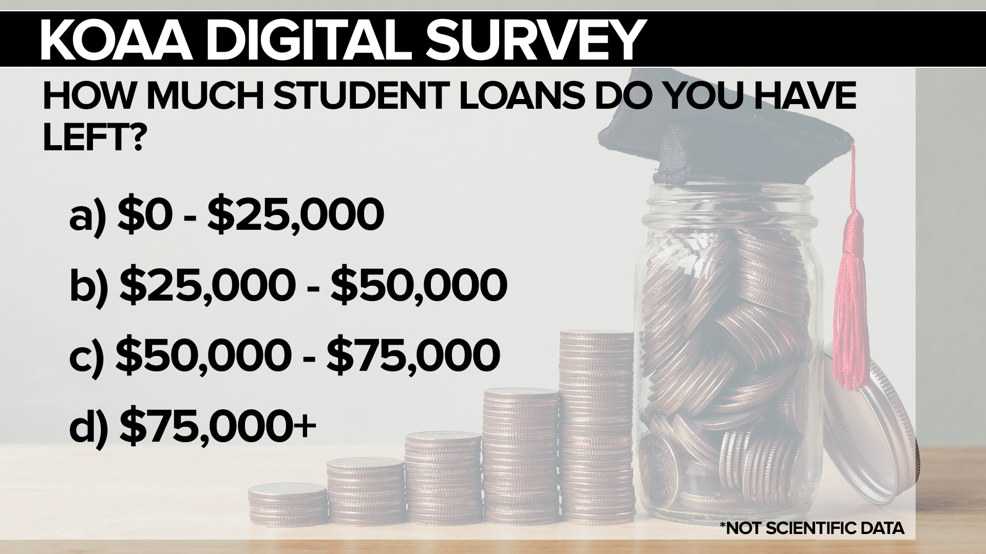 Student loans survey