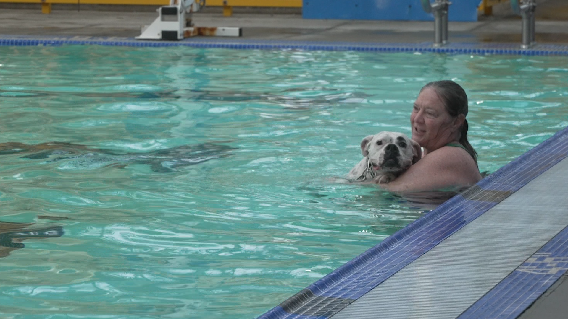 December Pooch Plunge NATVO.00_00_21_04.Still001.png