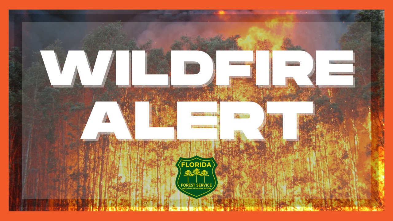 FFS WILDFIRE