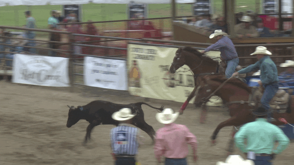 Belt Rodeo gif