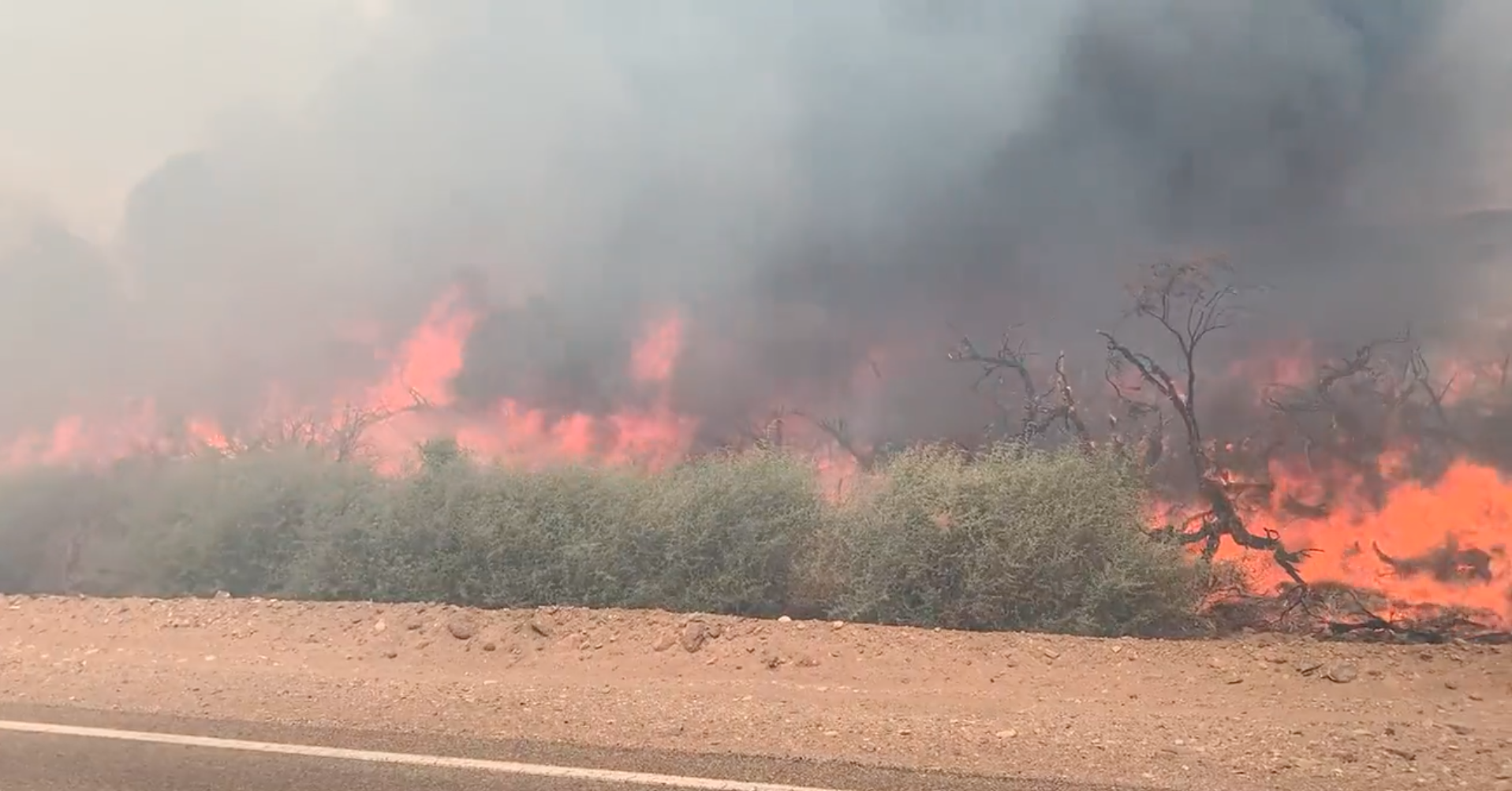 Screen Shot 2022-05-26 at 9.58.54 PM.png