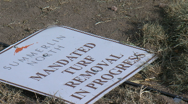 From Summerlin to Henderson, valley businesses are taking water-conserving action