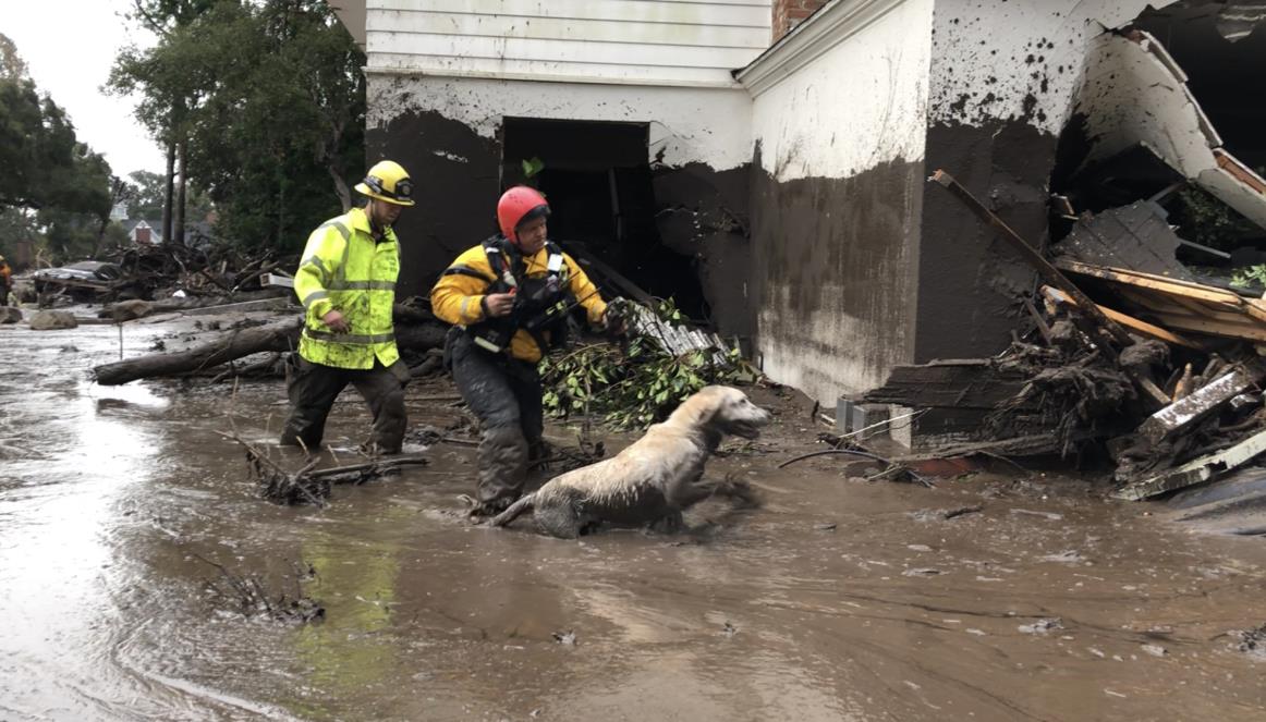 Riley Retirement News Release Montecito.jpg