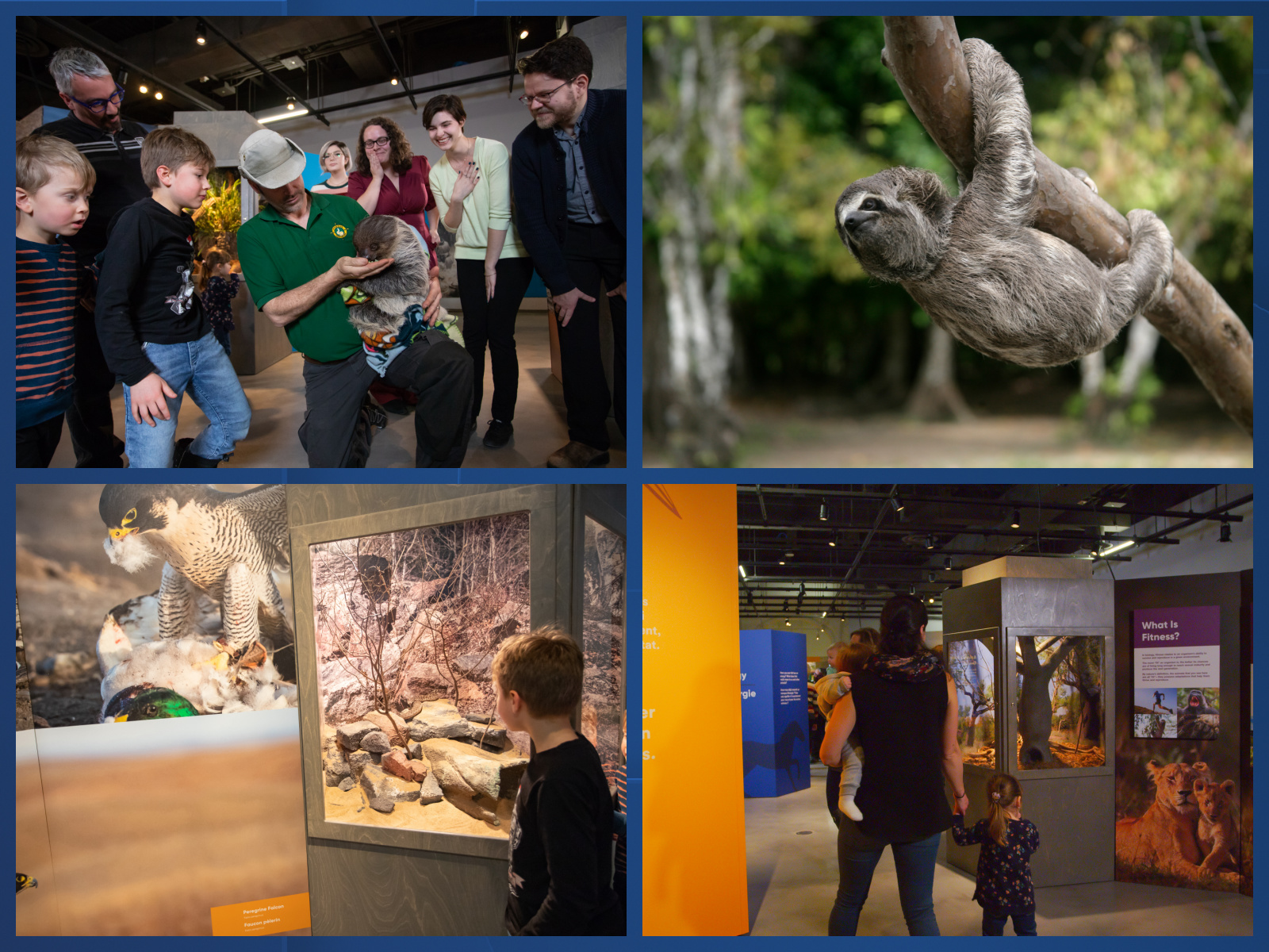 Survival of the Slowest collage - handout images.jpg