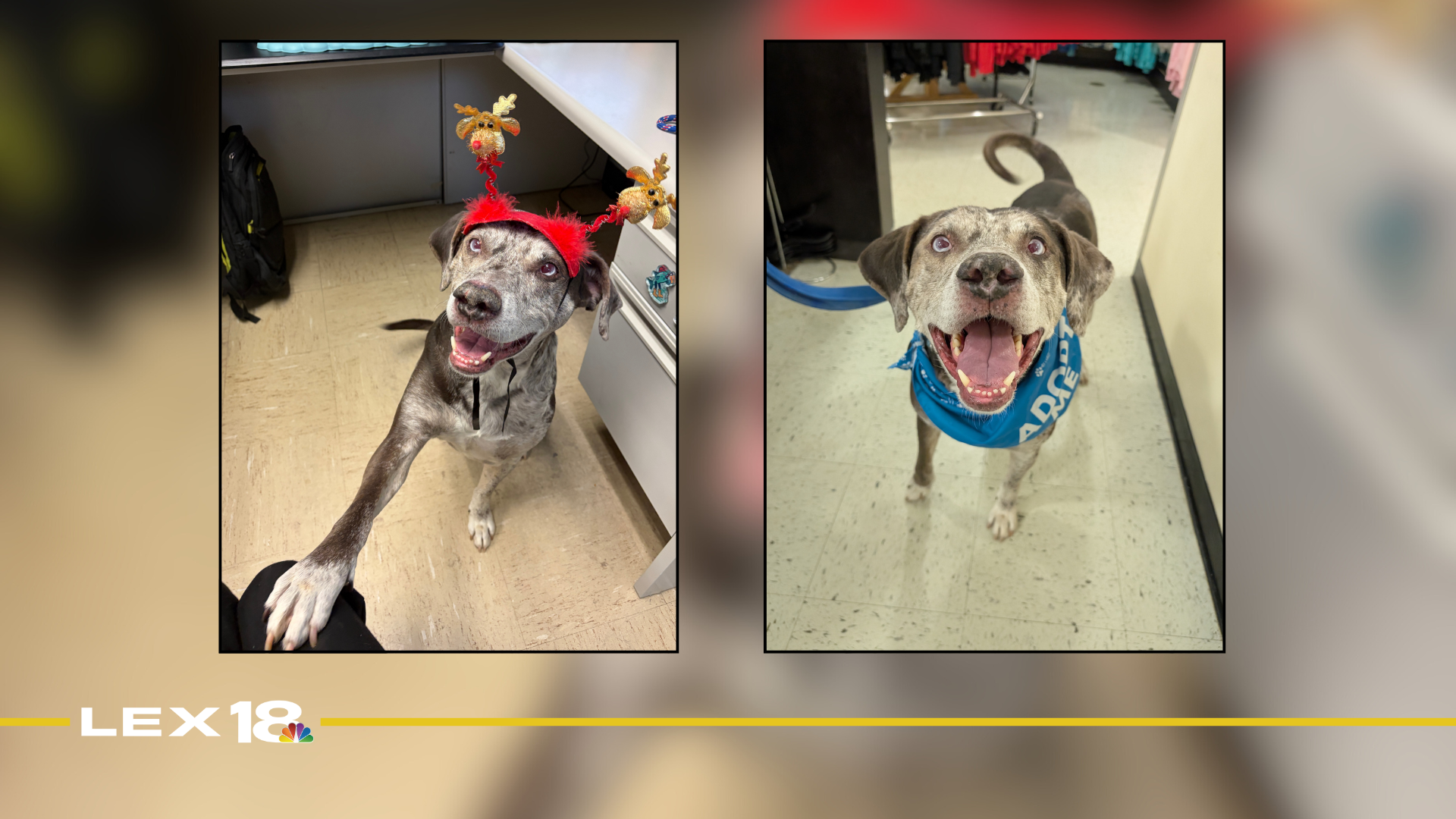 Featured Image Custom Edit (9).png