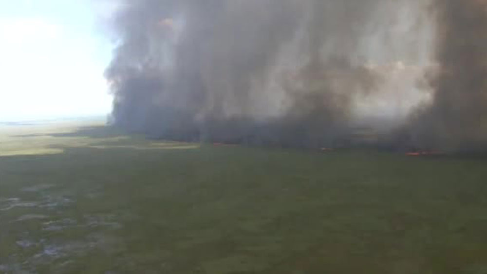 wptv-everglades-fire-.jpg