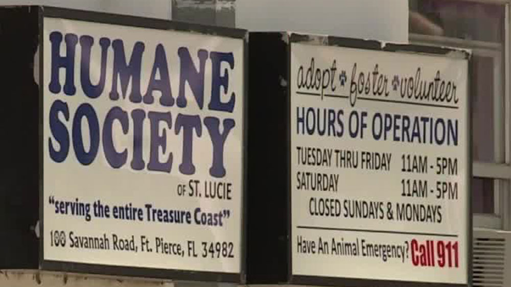 wptv-humane-society-of-st.-lucie-county-.jpg