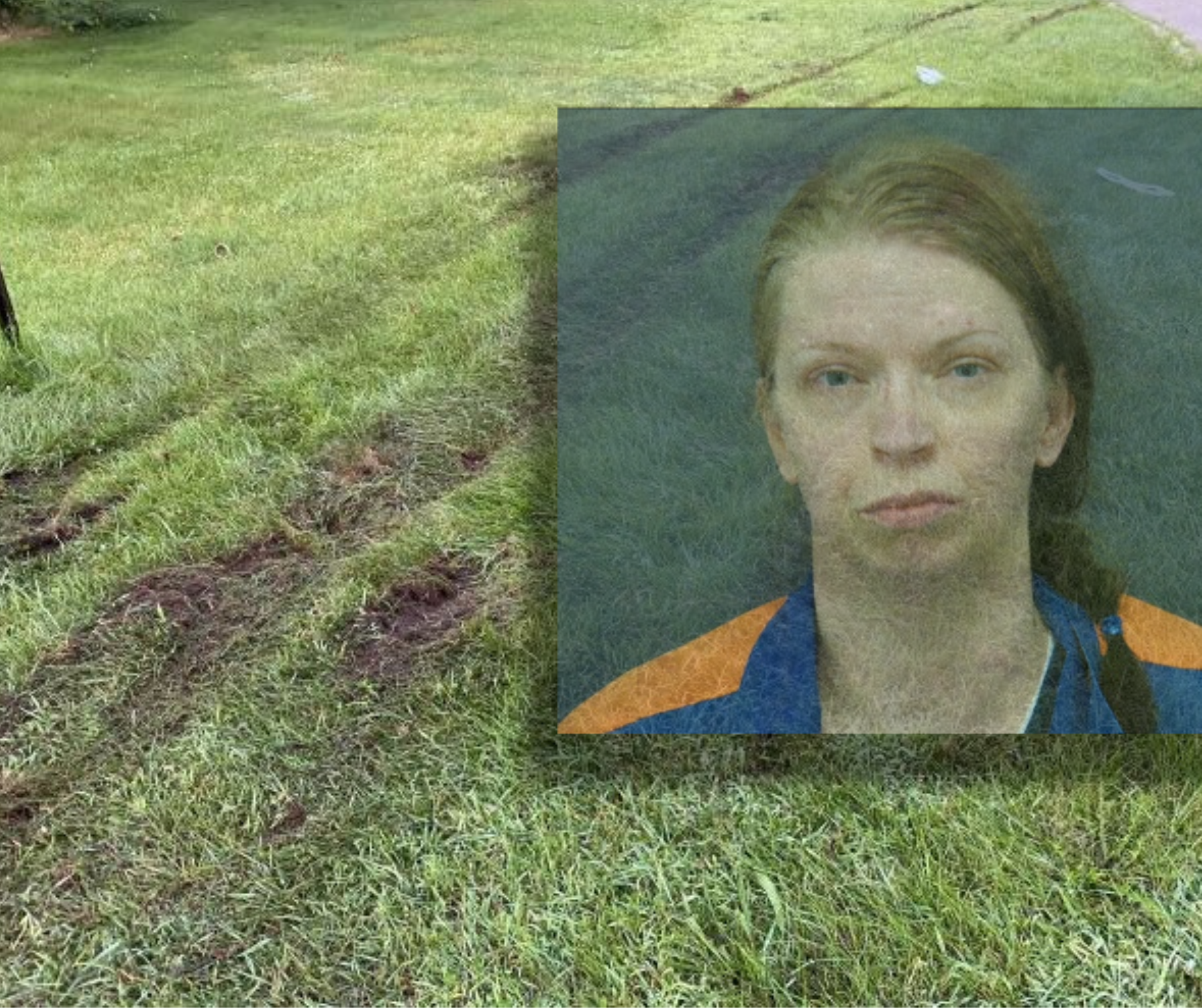 Brandy Jones mug shot with hit-and-run scene photo