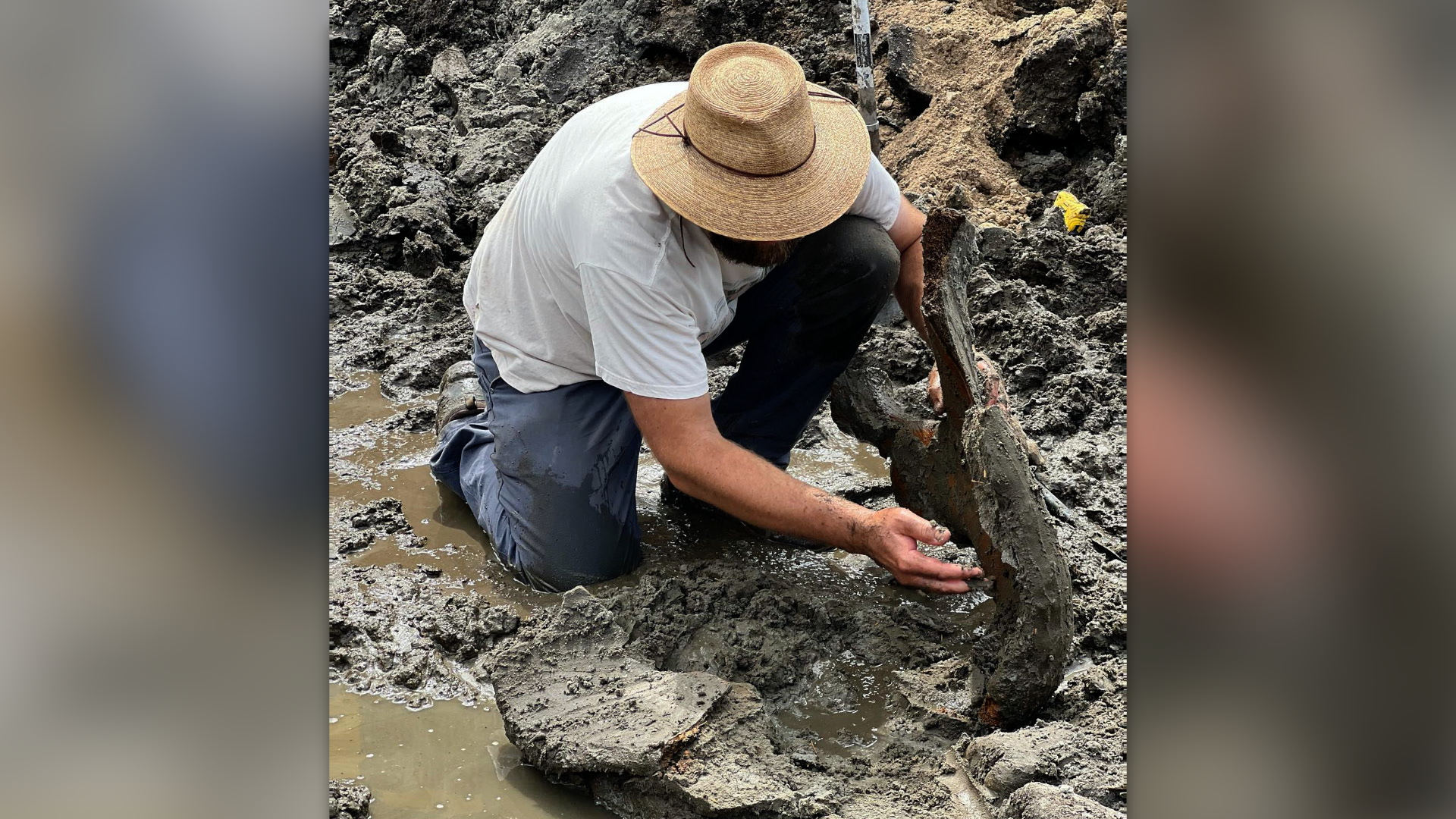 Mastodon bones in Kent City 3.png