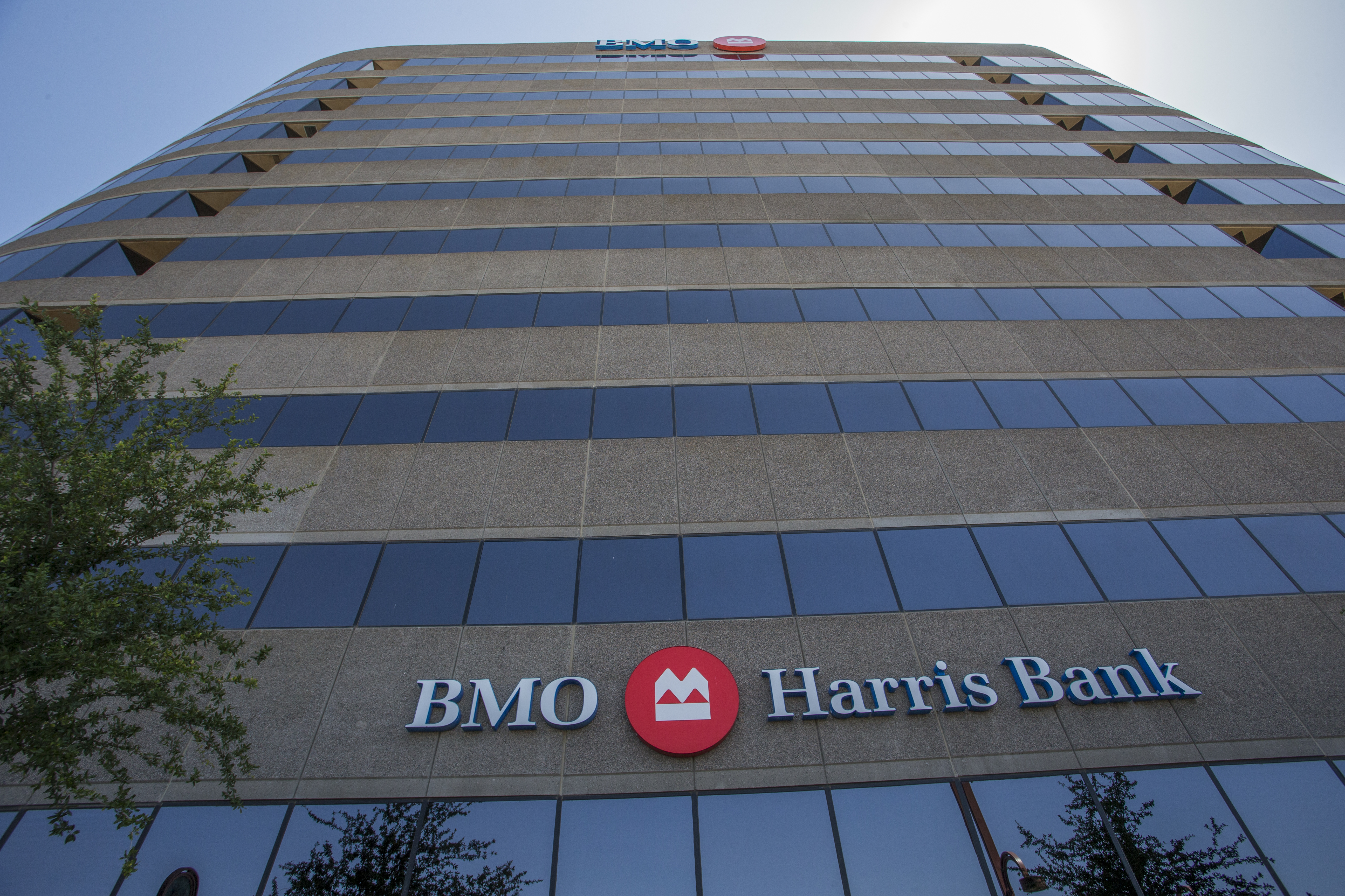 BMO.jpeg