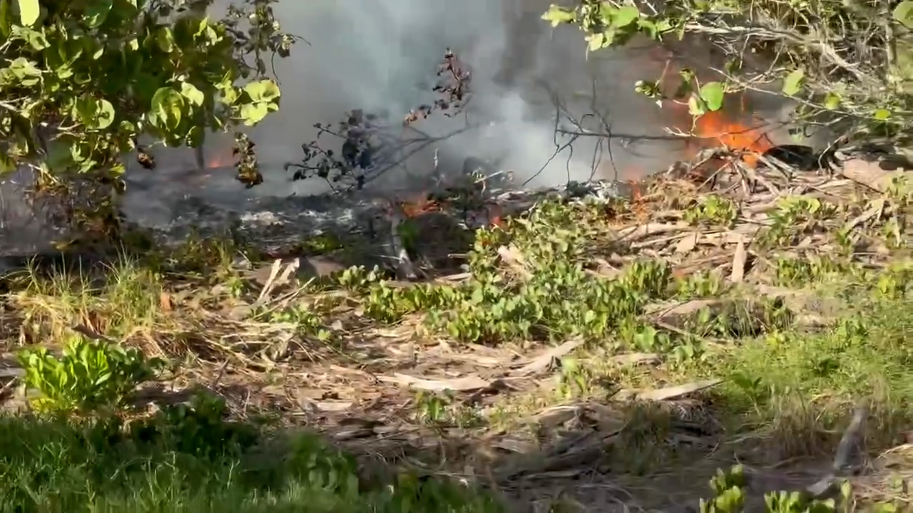 Egmont Key fire