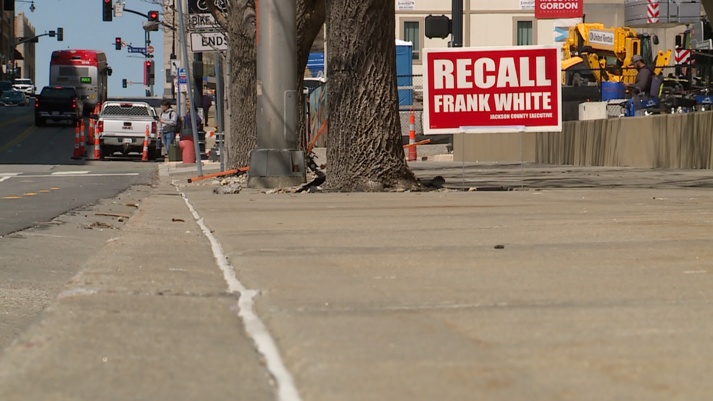 Frank White recall protestors
