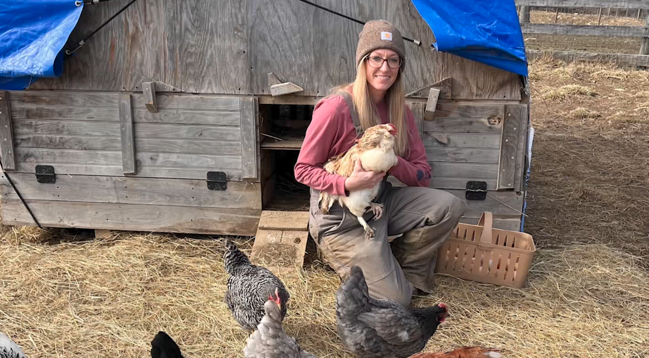 chicken farmer.png