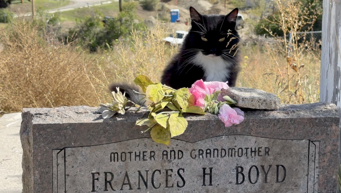 Mysterious tombstone in Butte neighborhood 