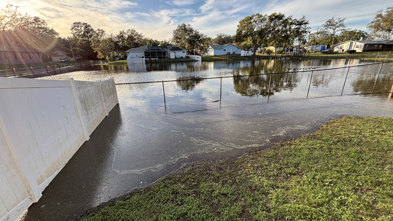 zephyrhills flooding.png