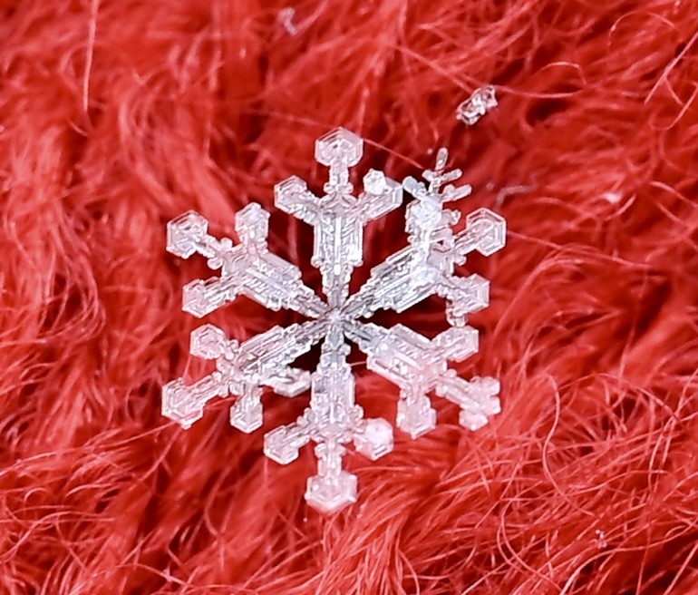 Pretty snowflake