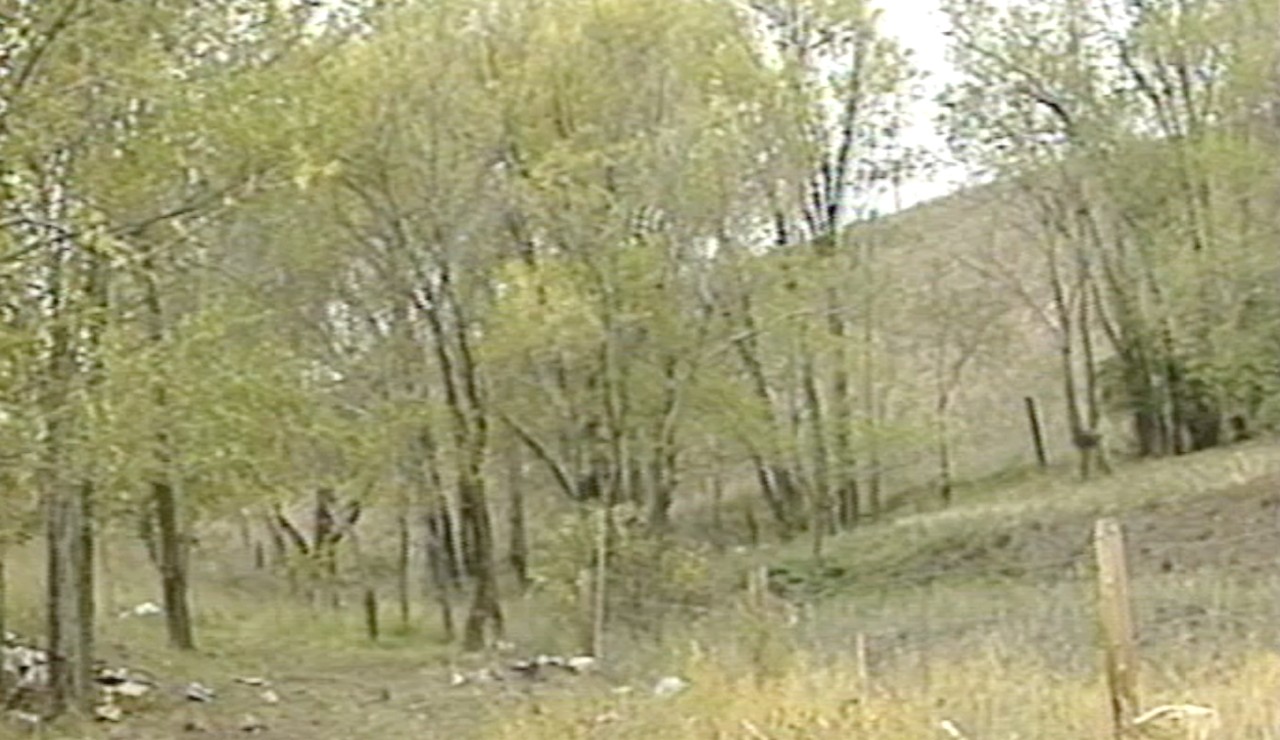 MSO Cold Case