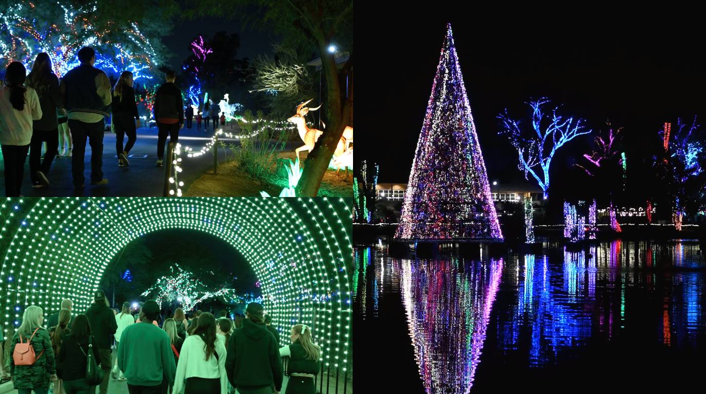 ZooLights: Phoenix Zoo holiday tradition. 