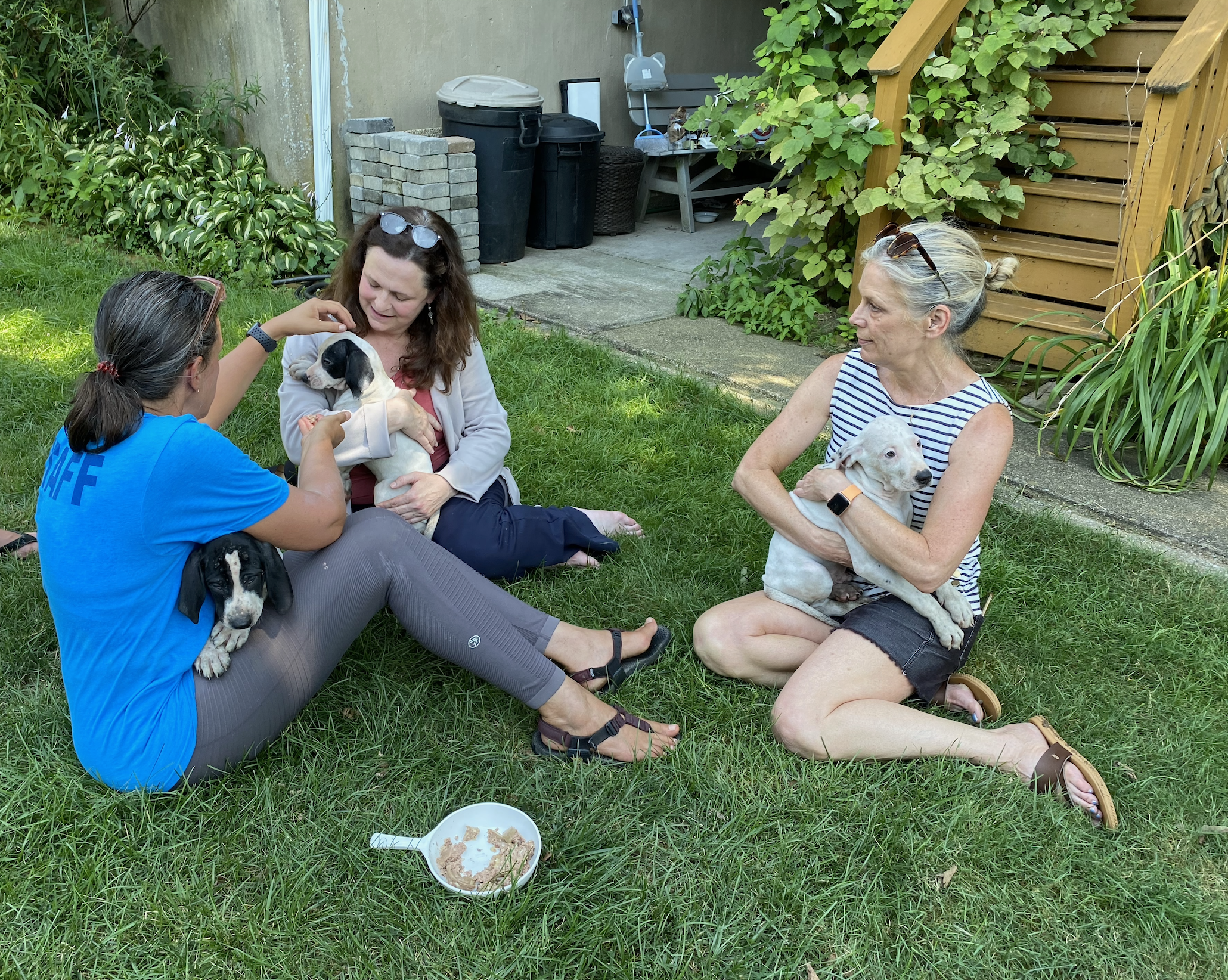 Man injured, 10 dogs rescued following fire in Rodgers Forge