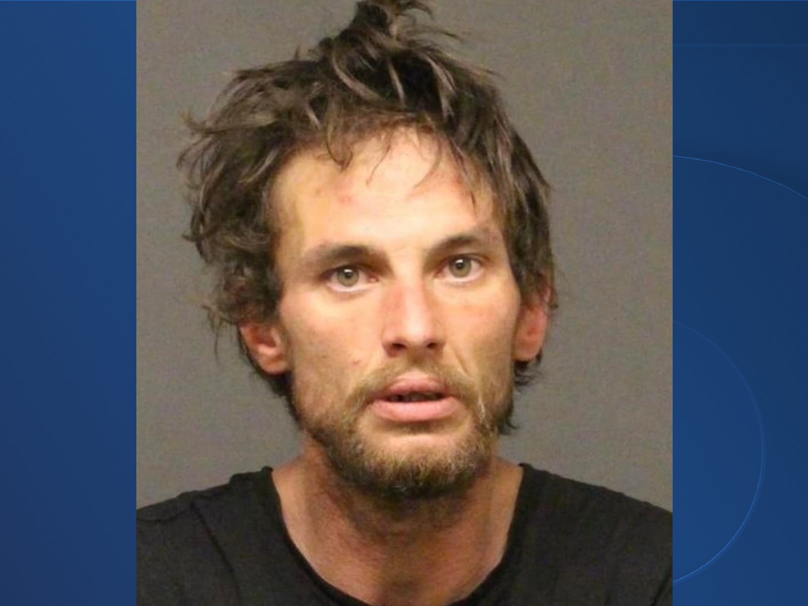 Brandon Lewis St. Ours mugshot.png