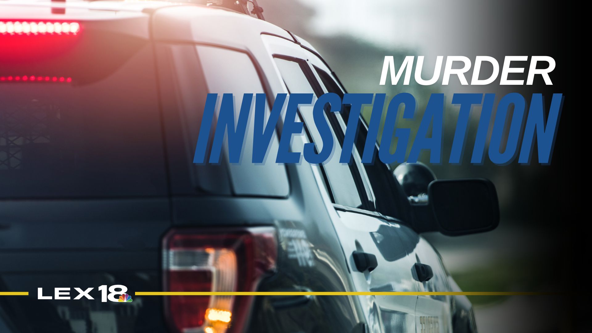 Featured Image Custom Edit (5).jpg