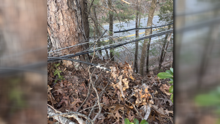 Screenshot 2026-01-07 181508.png