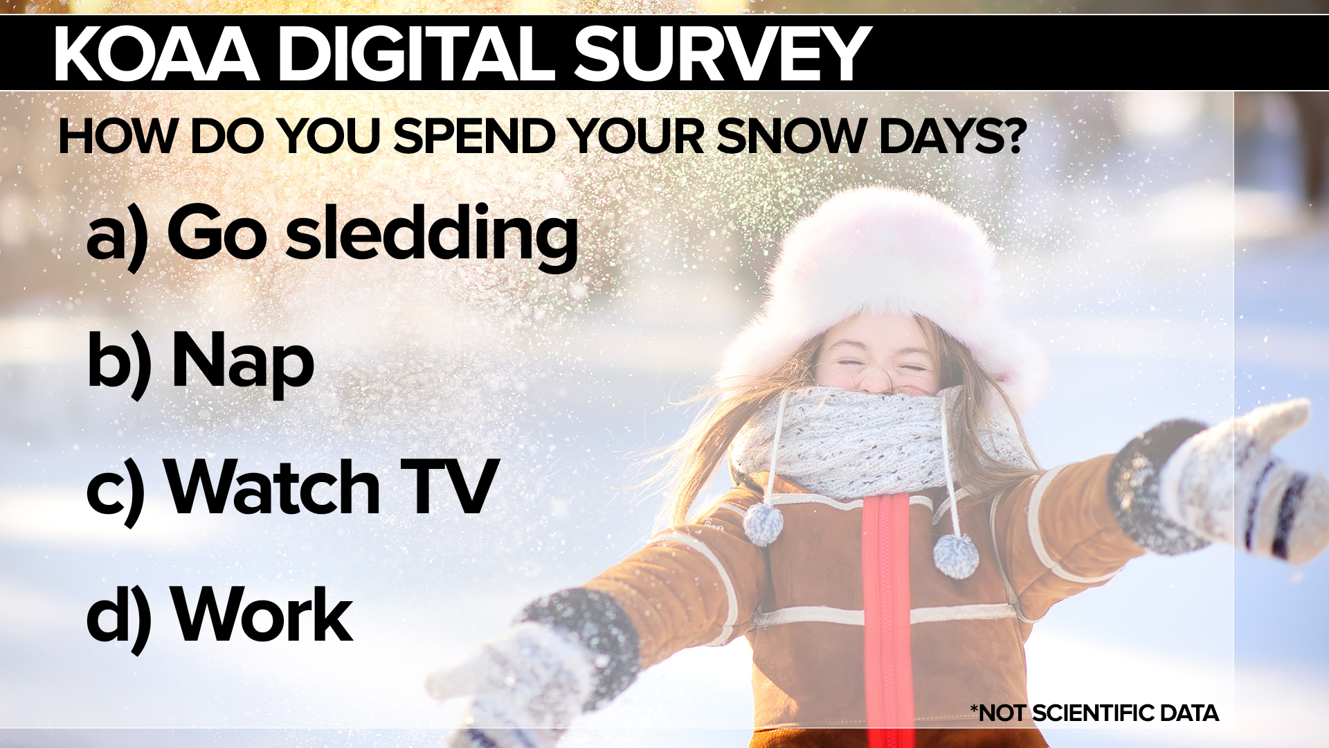 SURVEY Snow Day 2.jpg