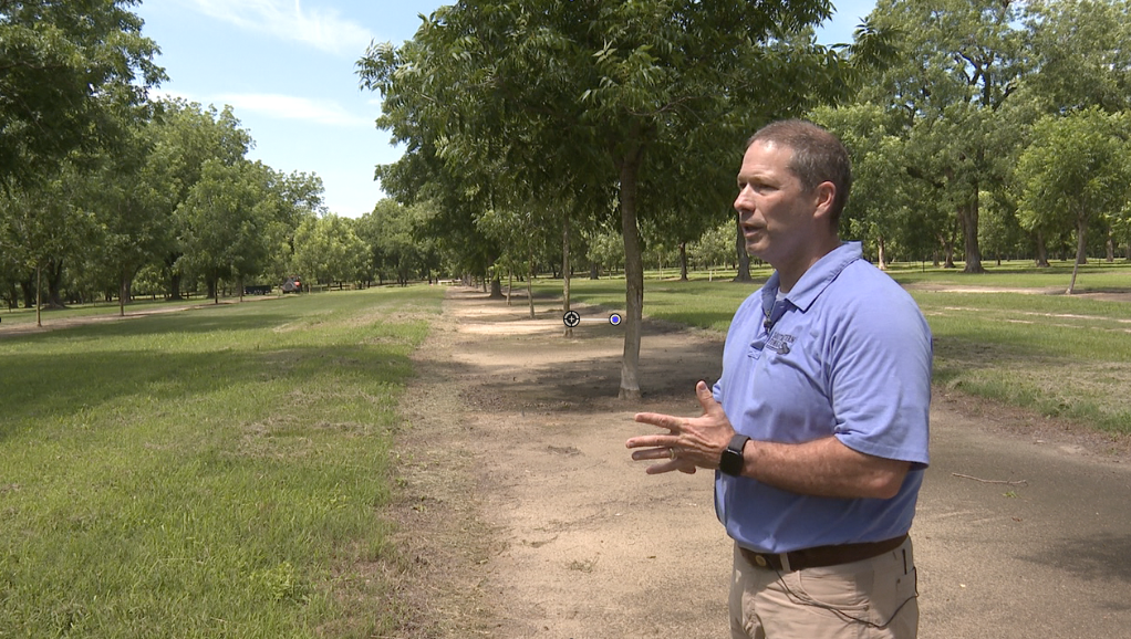 South Georgia Pecan Farmer Rob Cohen