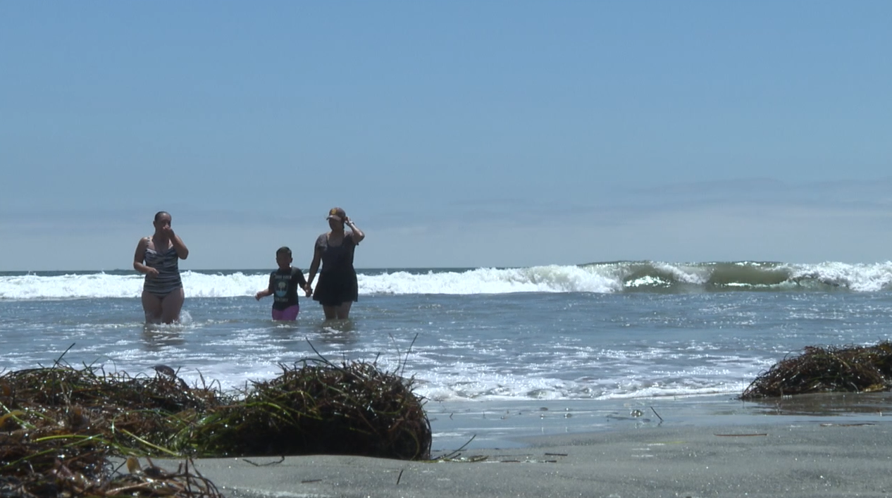 beachgoers in the water