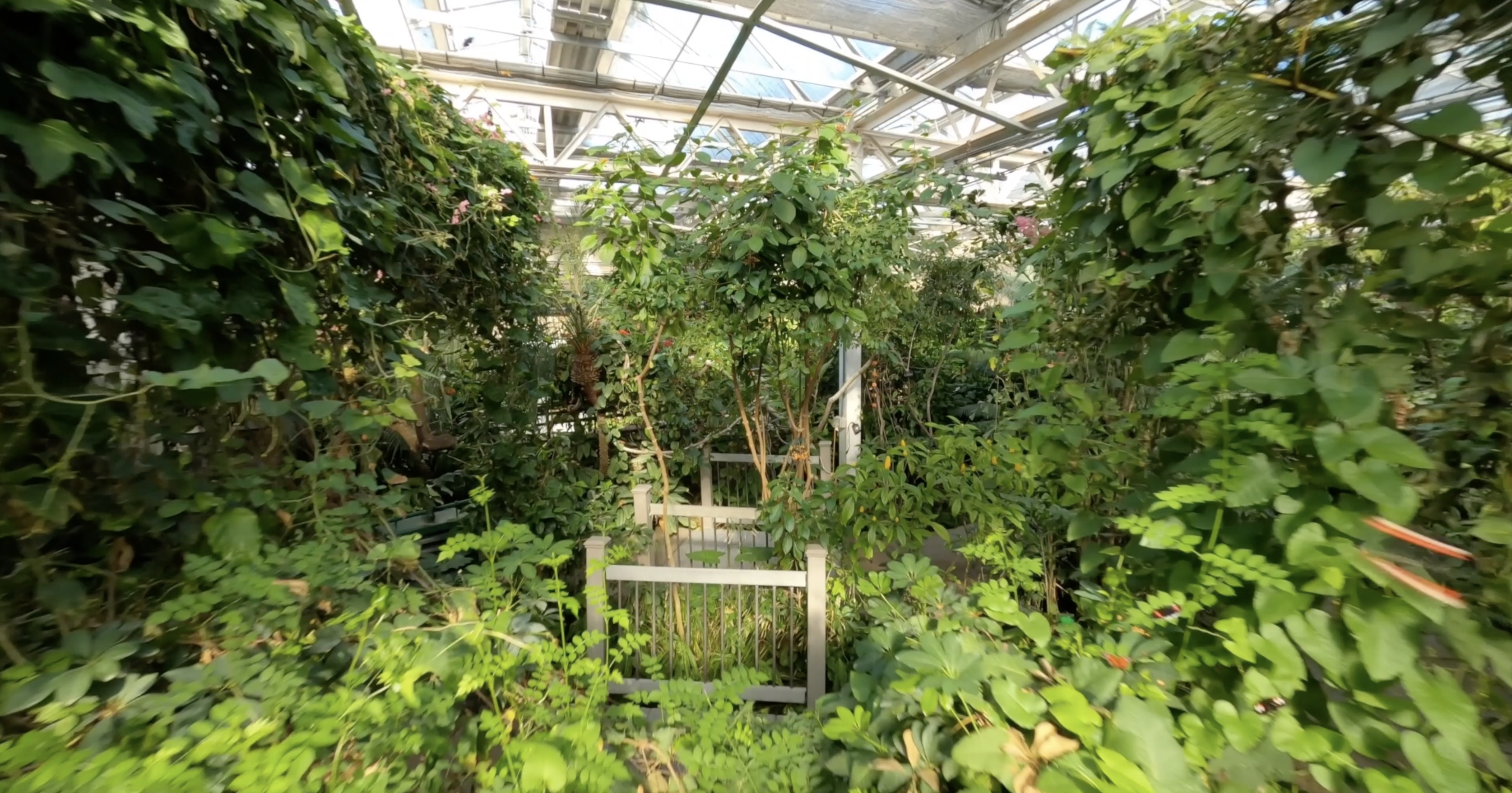 Butterfly Pavilion