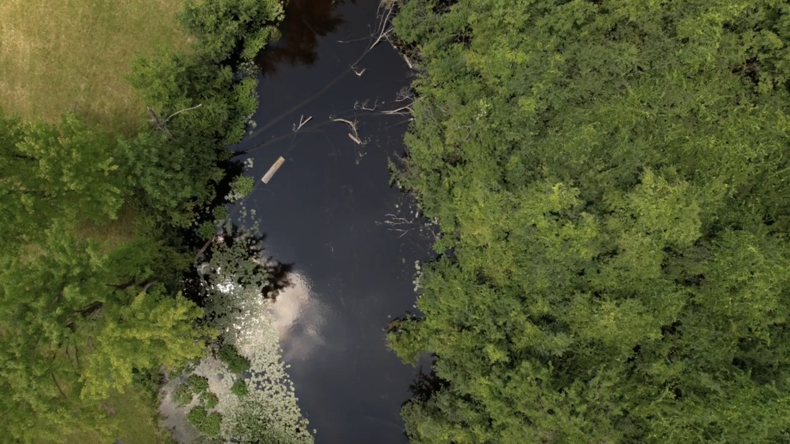 Grand River in Jackson