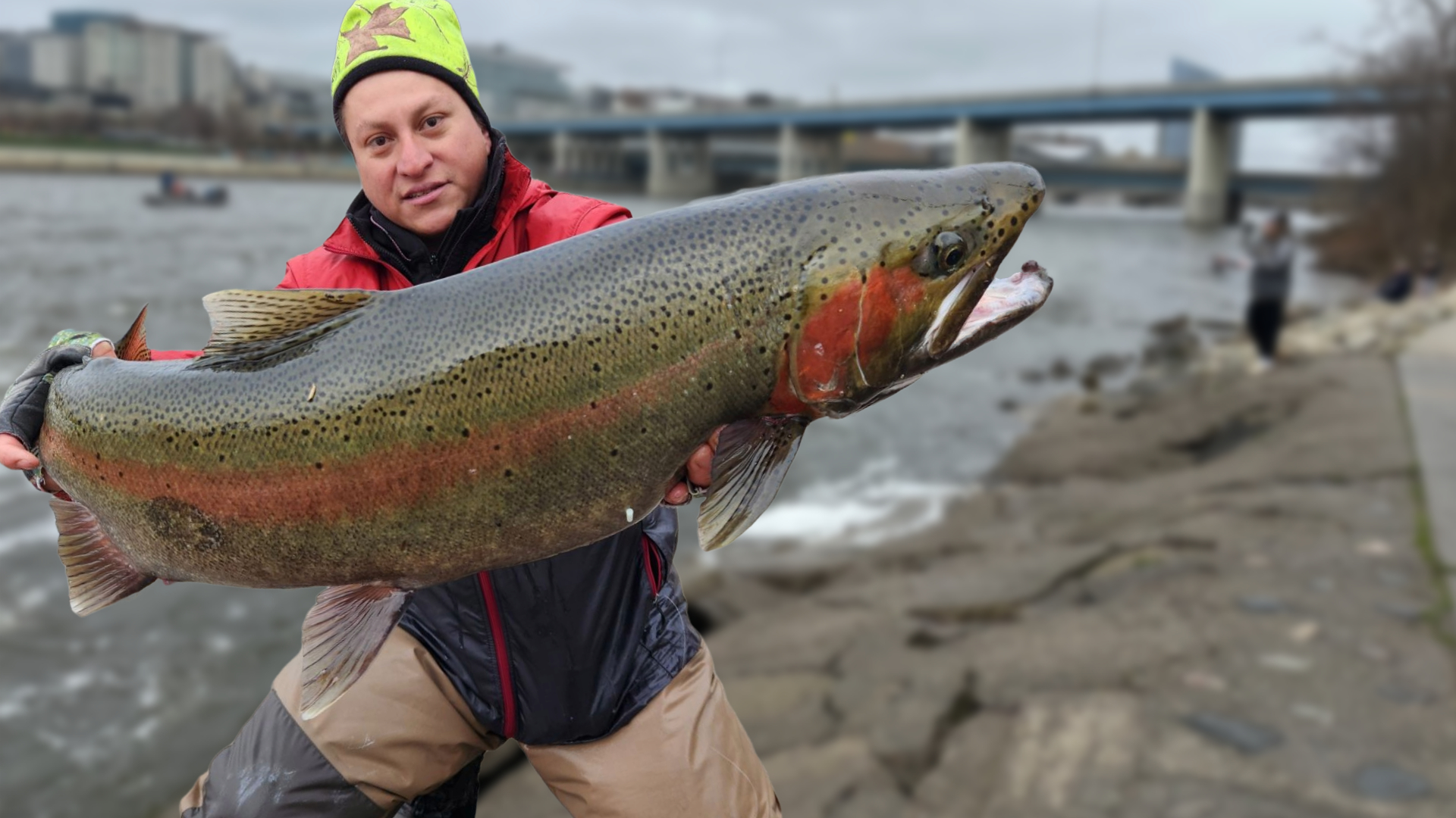 massive fish caught in Grand River