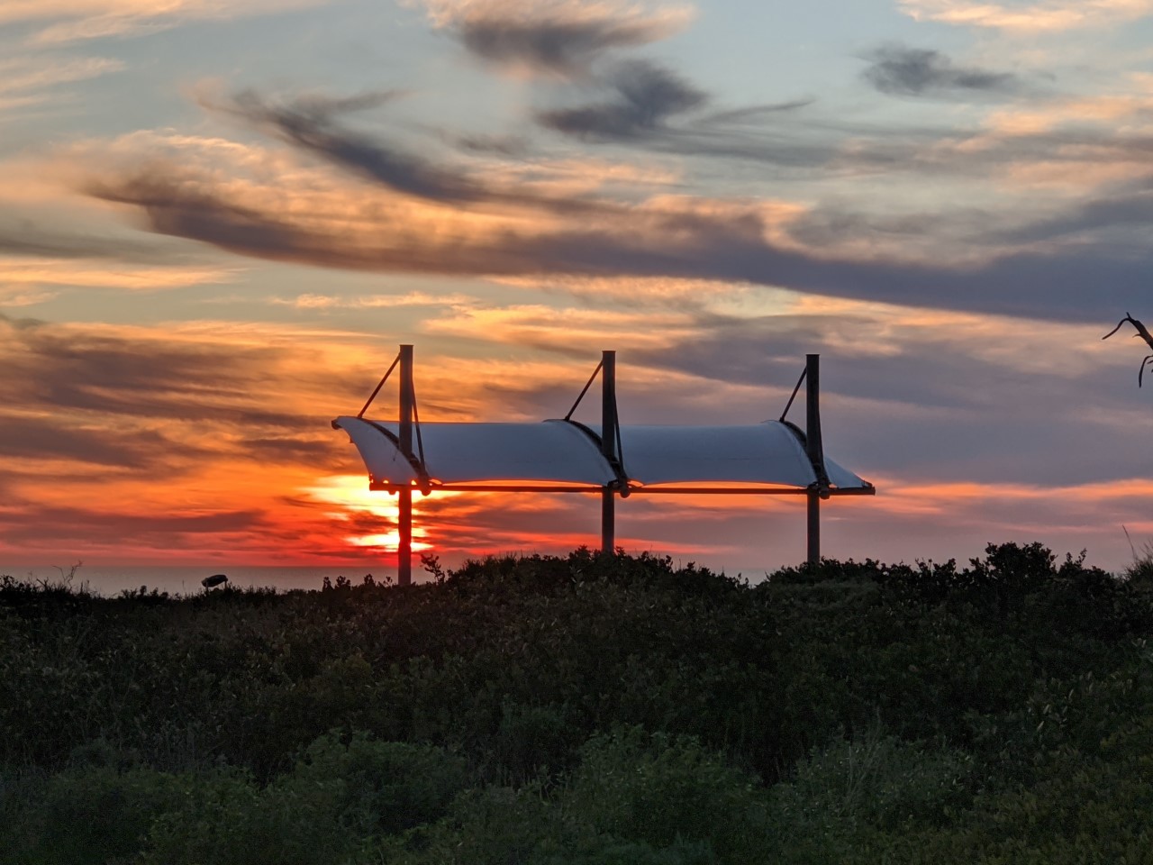 thumbnail_Kelp forest overlook sunset 2020 Geisler.jpeg