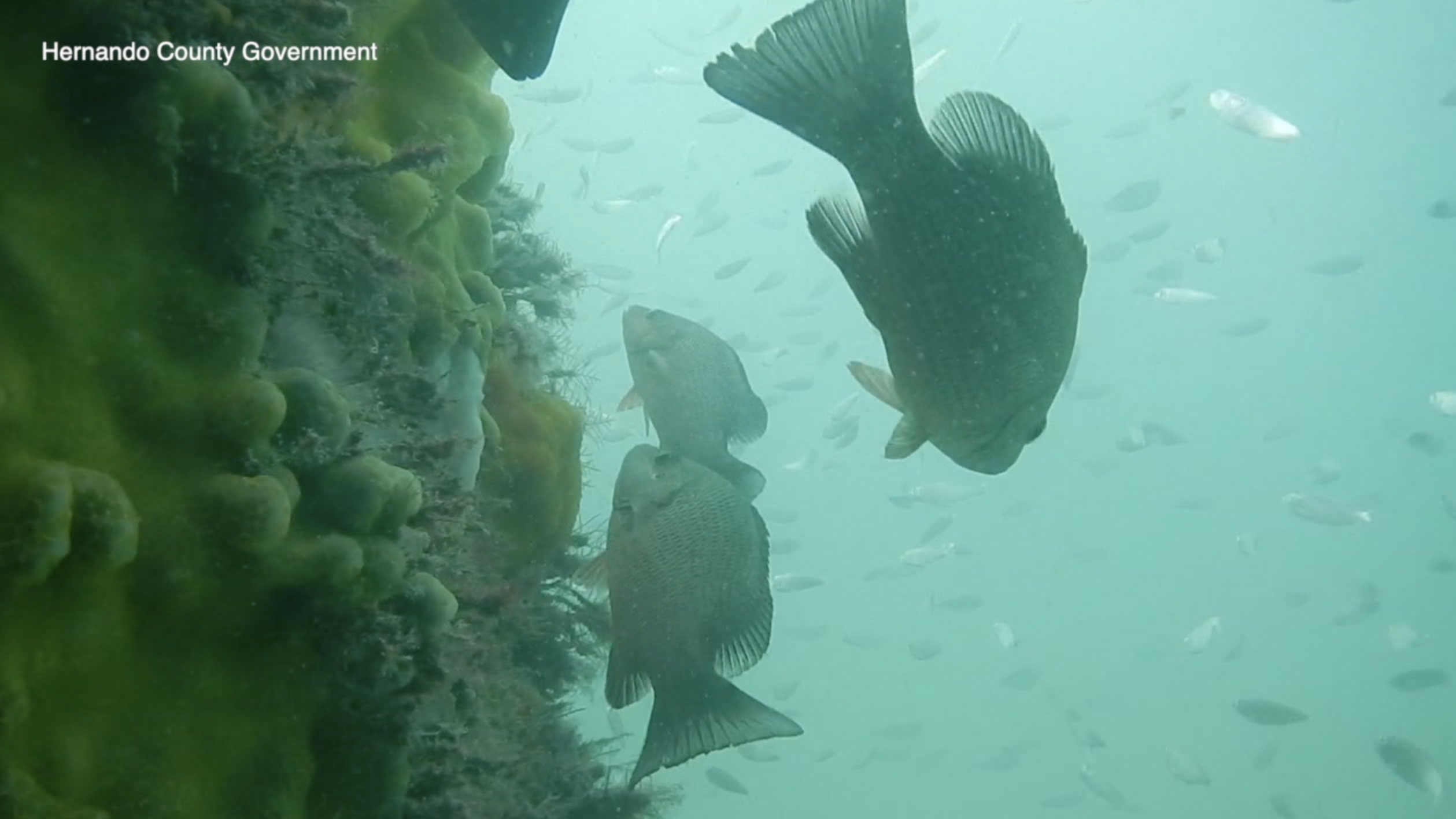 Screen Shot 2023-11-13 at 10.07.57 PM.png