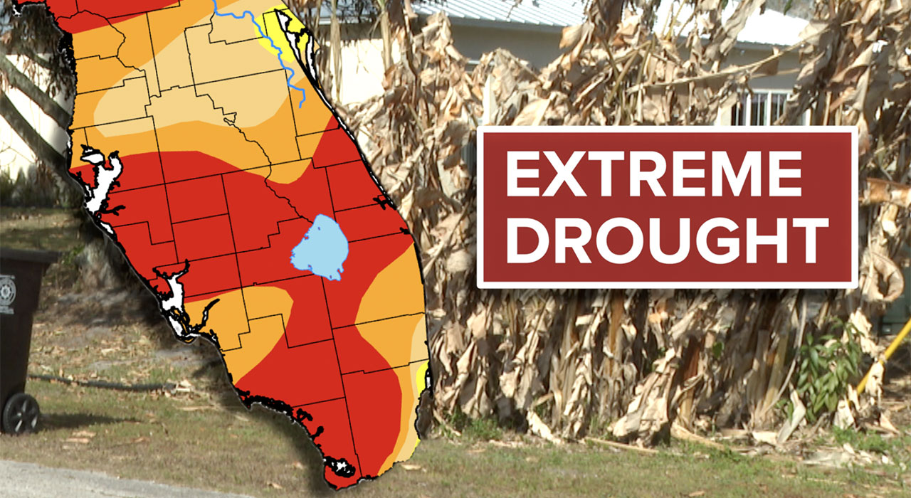 Florida drought 