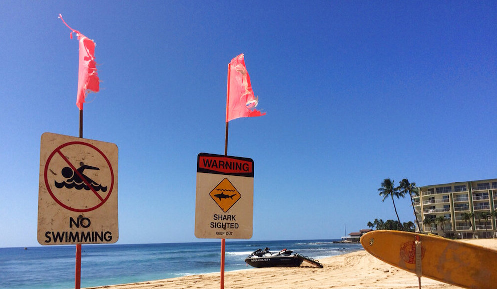 Shark Warnings Boy Attacked