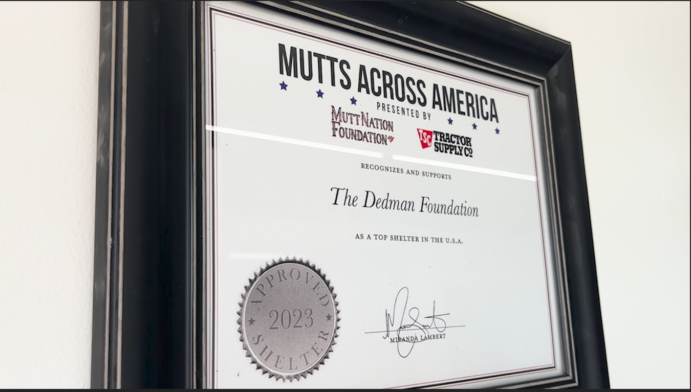 %22Top Shelter in the USA%22.png