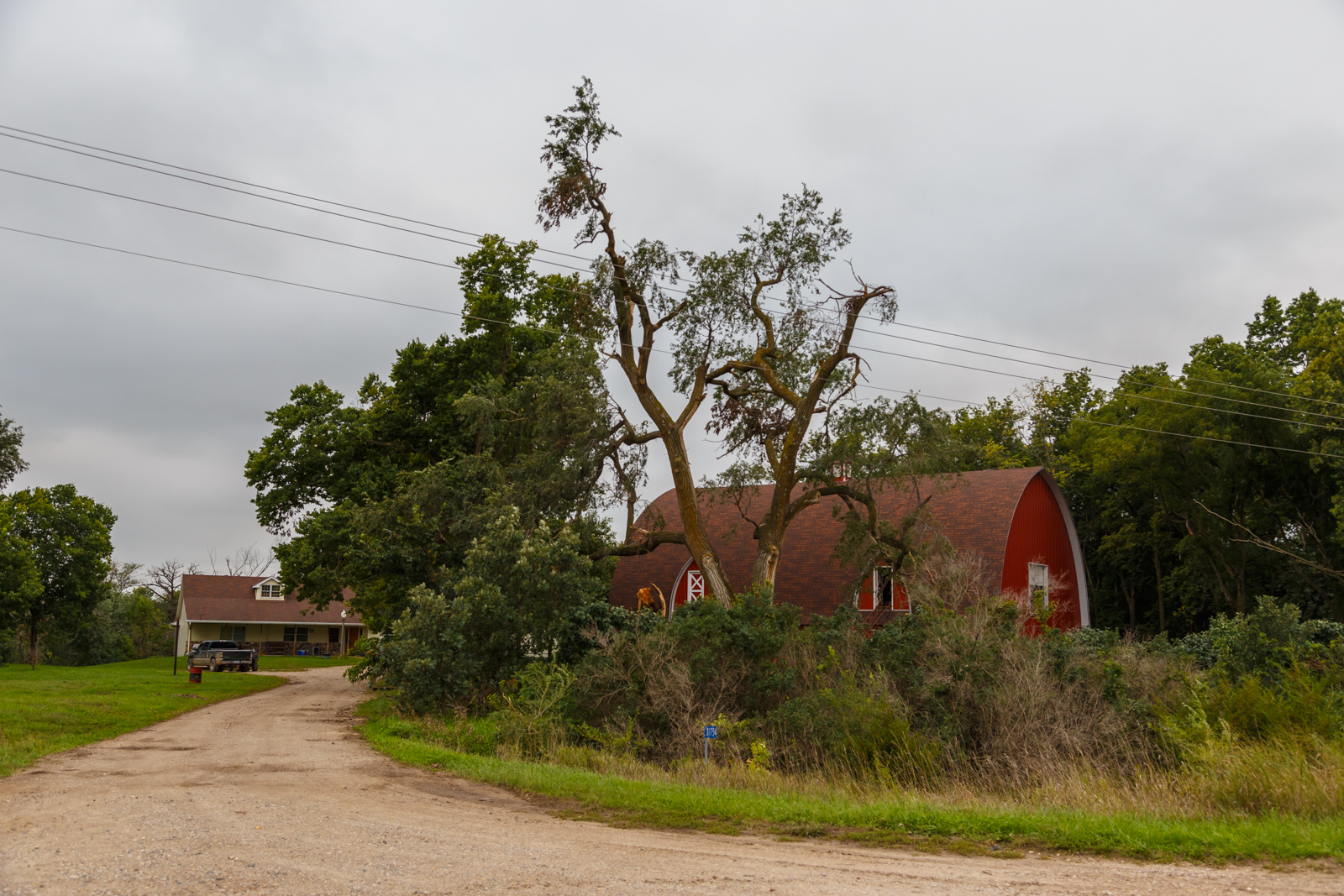 Glidden Tree Damage.jpg